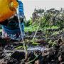 Agri Ecology